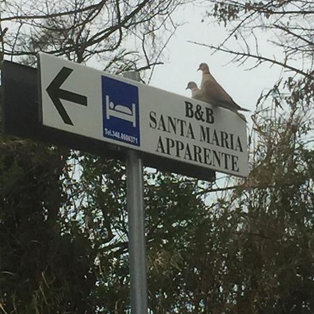צ'יביטאנובה מארקה Monolocali B&B Santa Maria Apparente מראה חיצוני תמונה