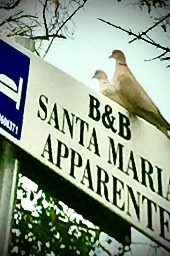 צ'יביטאנובה מארקה Monolocali B&B Santa Maria Apparente מראה חיצוני תמונה